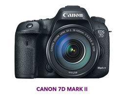 Cannon7D Cannon7D