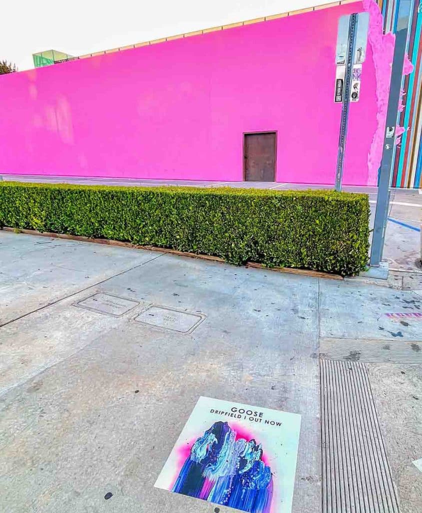 Guerilla Advertising for Goose