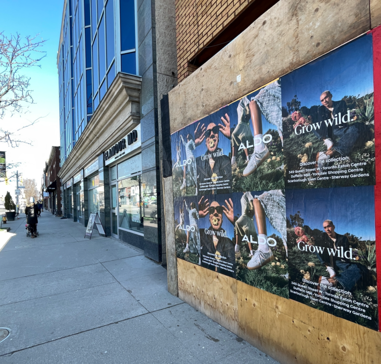 ALDO "Grow Wild" Wheat Pasting campaign on Queen Street West, Toronto — hoarding takeover near the 349 Queen Street W flagship.